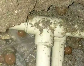 卢氏测漏水多少钱